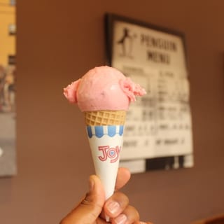 Homemade Ice Cream (Junior)