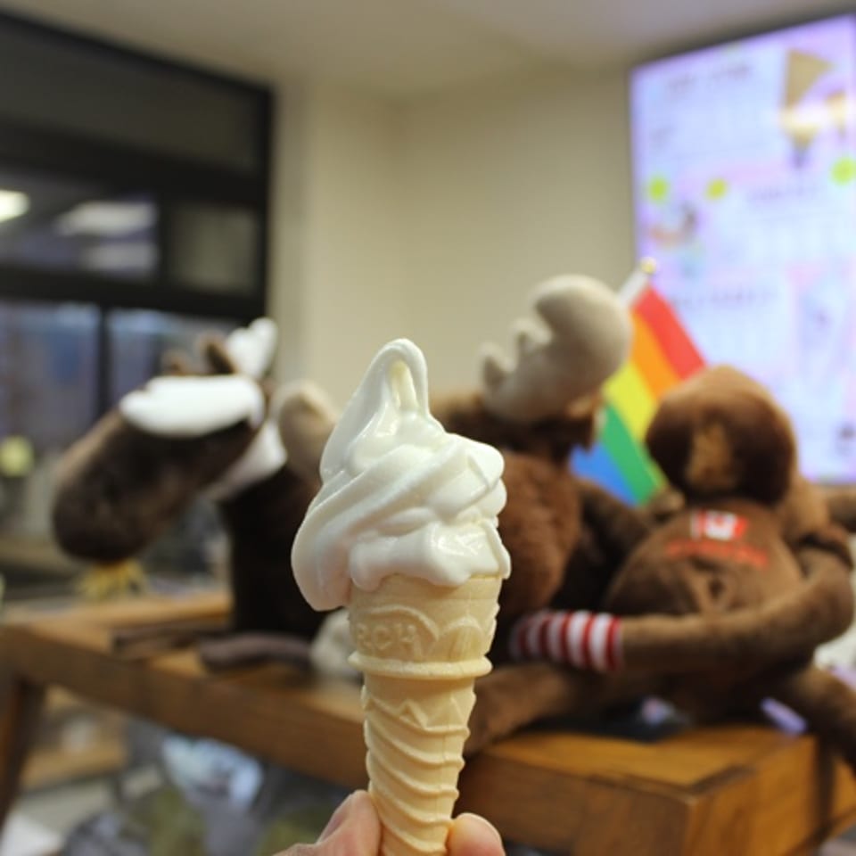 Torch Cone.
