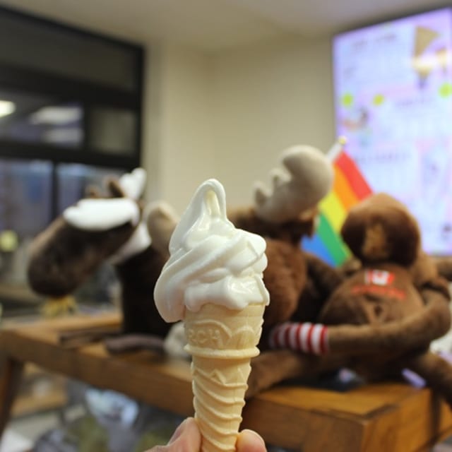 Torch Cone.